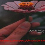 دانلود آهنگ بلدی چجوری عشقو تو نگاه من بیاری از علی منتظری و مهستی